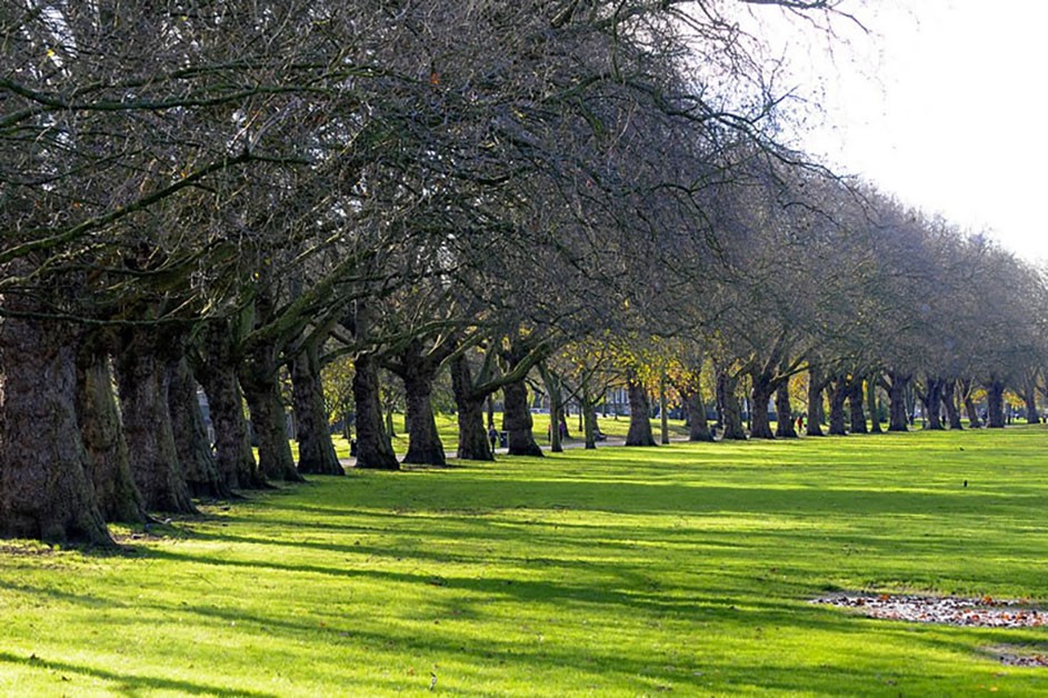 Victoria Park - Elms Estates