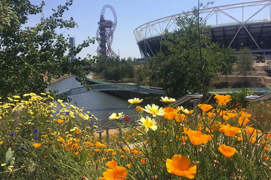 Queen Elizabeth Olympic Park - Elms Estates